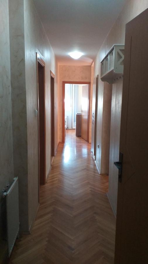 Apartman Anja 诺威萨 外观 照片